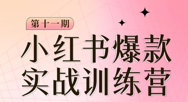 小红书博主爆款训练营第11期，手把手教你从0-1做小红书，从定位到起号到变现-千城资源网