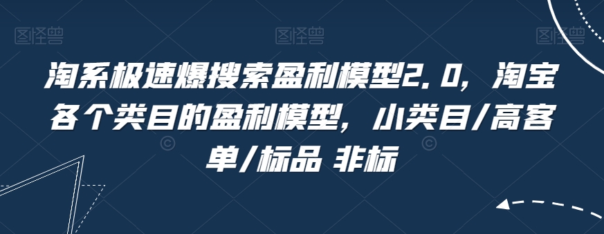淘系极速爆搜索盈利模型2.0，淘宝各个类目的盈利模型，小类目/高客单/标品 非标-千城资源网