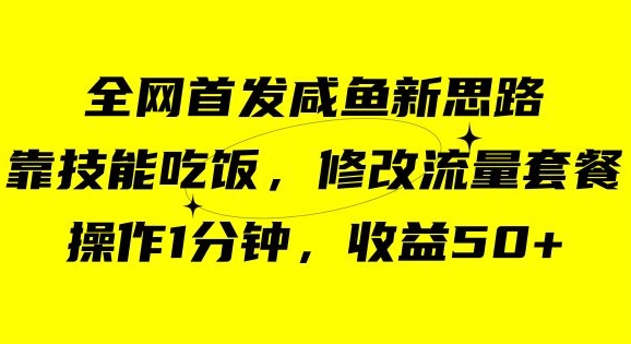 咸鱼冷门新玩法，靠“技能吃饭”，修改流量套餐，操作1分钟，收益50【揭秘】-千城资源网