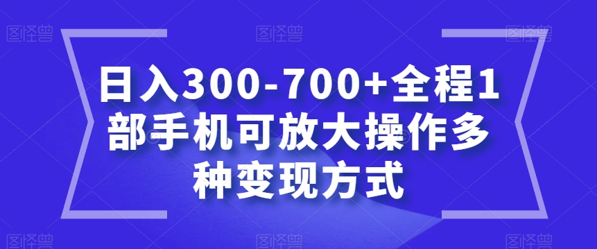 日入300-700+全程1部手机可放大操作多种变现方式【揭秘】-千城资源网