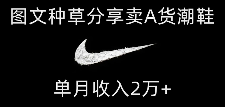 靠图文种草分享卖A货潮鞋，每天一小时，单月收入2万+【揭秘】-千城资源网