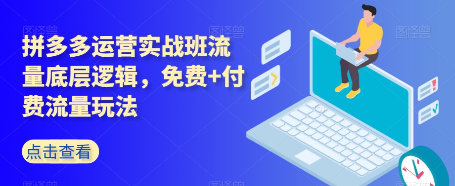 拼多多运营实战班流量底层逻辑，免费+付费流量玩法-千城资源网