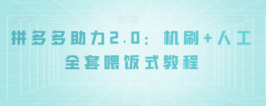 拼多多助力2.0：机刷+人工全套喂饭式教程【揭秘】-千城资源网