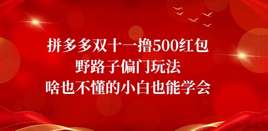 首发价值2980最新淘宝无货源不开车自然流超低成本截流玩法日入300+【揭秘】【1111更新】-千城资源网