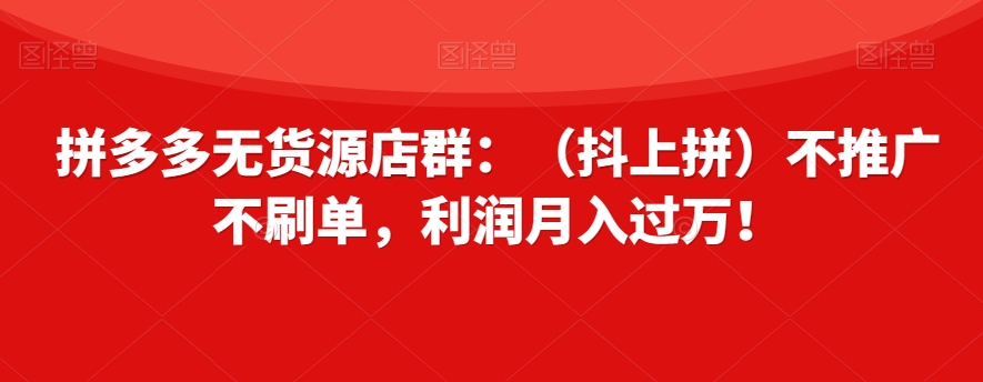 拼多多无货源店群：（抖上拼）不推广不刷单，利润月入过万！【揭秘】-千城资源网