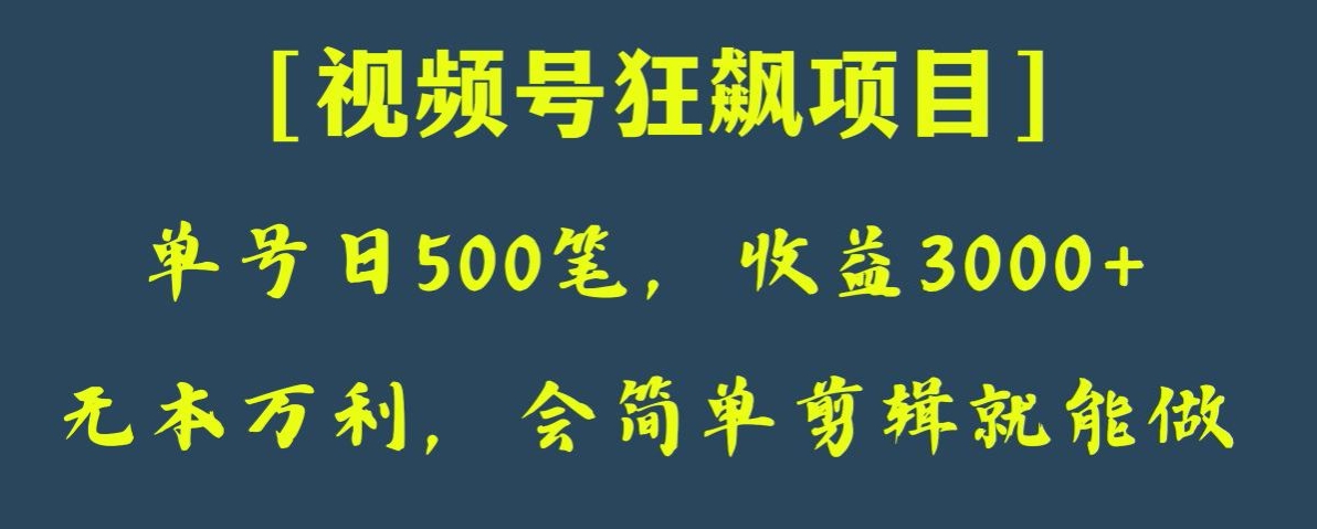 日收款500笔，纯利润3000+，视频号狂飙项目，会简单剪辑就能做【揭秘】-千城资源网