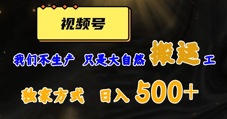 视频号轻松搬运日赚500+，一个1分钟1条原创视频【揭秘】-千城资源网