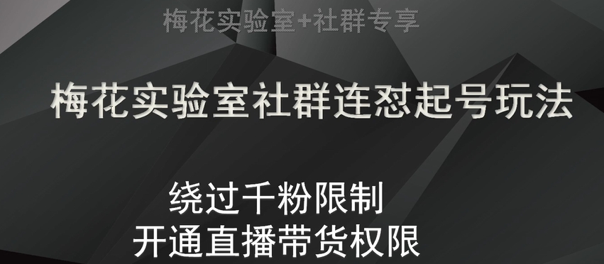 梅花实验室社群连怼起号玩法，视频号绕过千粉限制，开通直播带货权限【揭秘】-千城资源网