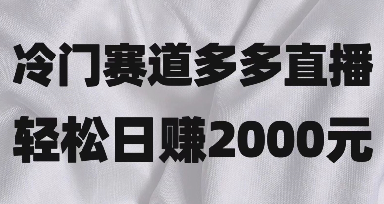 冷门赛道拼多多直播，简单念稿子，日收益2000＋【揭秘】-千城资源网
