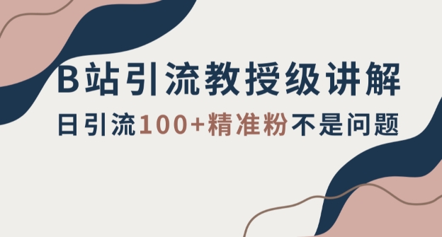 B站引流教授级讲解，细节满满，日引流100+精准粉不是问题【揭秘】-千城资源网