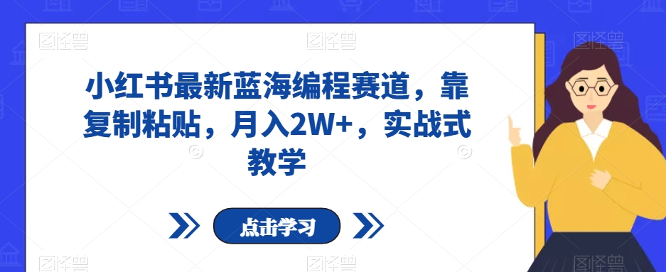 小红书最新蓝海编程赛道，靠复制粘贴，月入2W+，实战式教学【揭秘】-千城资源网