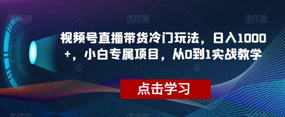 视频号直播带货冷门玩法，日入1000+，小白专属项目，从0到1实战教学【揭秘】-千城资源网
