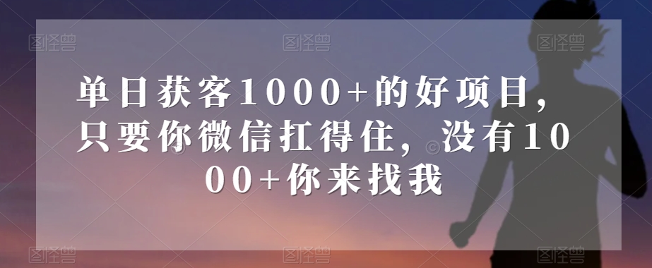 单日获客1000+的好项目，只要你微信扛得住，没有1000+你来找我【揭秘】-千城资源网