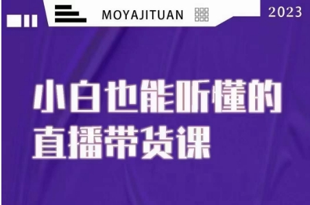 大威本威·能听懂的直播带货课，小白也能听懂，20节完整-千城资源网