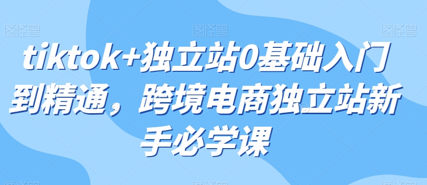 tiktok+独立站0基础入门到精通，跨境电商独立站新手必学课-千城资源网