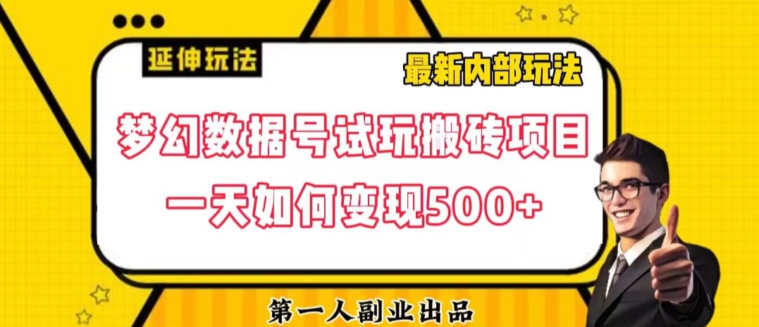 数据号回归玩法游戏试玩搬砖项目再创日入500+【揭秘】-千城资源网