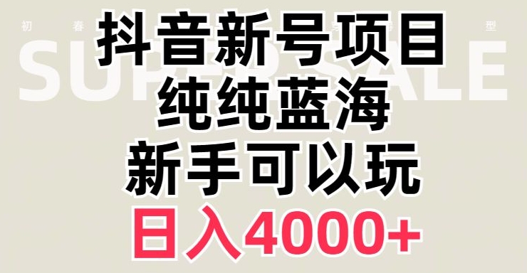 抖音蓝海赛道，必须是新账号，日入4000+【揭秘】-千城资源网