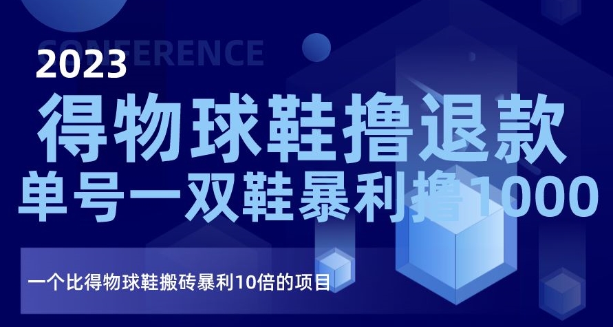 2023得物球鞋撸退款，单号一双鞋暴利撸1000，一个比得物球鞋搬砖暴利10倍的项目【揭秘】-千城资源网