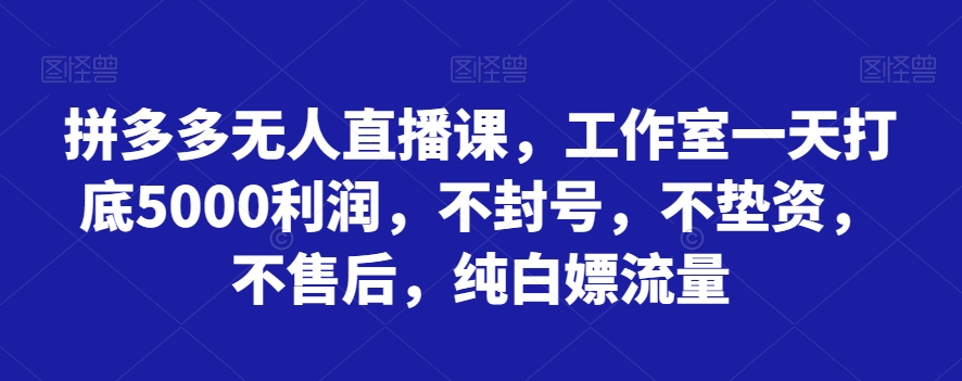 拼多多无人直播课，工作室一天打底5000利润，不封号，不垫资，不售后，纯白嫖流量-千城资源网