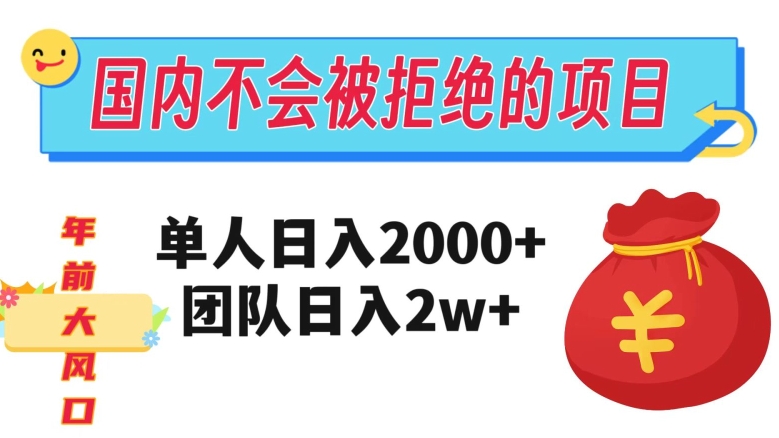 在国内不怕被拒绝的项目，单人日入2000，团队日入20000+【揭秘】-千城资源网