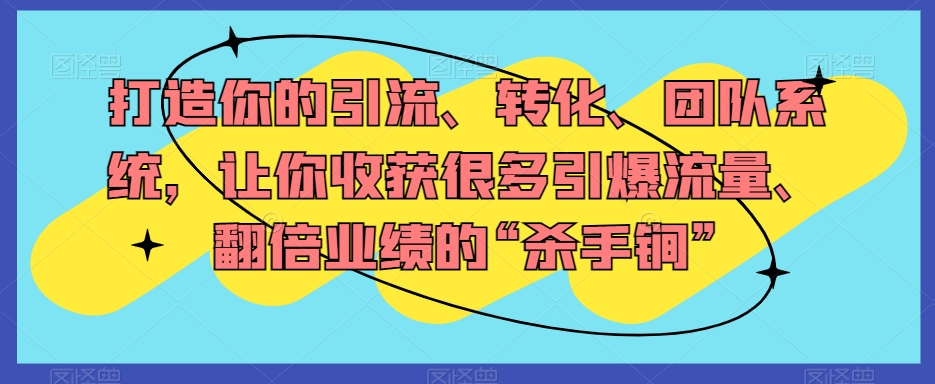 打造你的引流、转化、团队系统，让你收获很多引爆流量、翻倍业绩的“杀手锏”-千城资源网