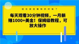 每天观看30分钟视频，一月躺赚1000+美金！保姆级教程，可放大操作【揭秘】-千城资源网