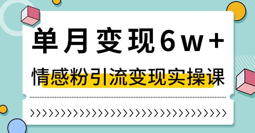 单月变现6W+，抖音情感粉引流变现实操课，小白可做，轻松上手，独家赛道【揭秘】-千城资源网