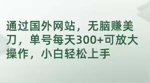 通过国外网站，无脑赚美刀，单号每天300+可放大操作，小白轻松上手【揭秘】-千城资源网