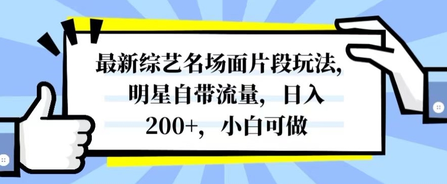 最新综艺名场面片段玩法，明星自带流量，日入200+，小白可做【揭秘】-千城资源网
