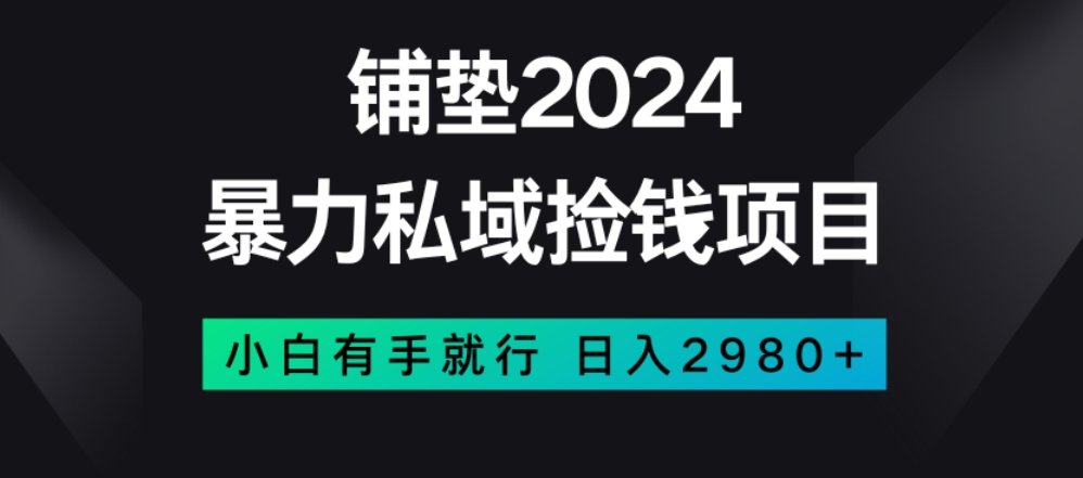 暴力私域捡钱项目，小白无脑操作，日入2980【揭秘】-千城资源网