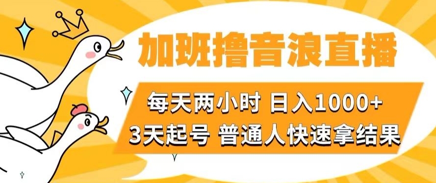 加班撸音浪直播，每天两小时，日入1000+，直播话术才3句，3天起号，普通人快速拿结果【揭秘】-千城资源网