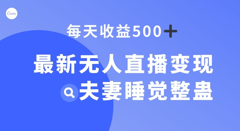 最新无人直播变现，夫妻睡觉整蛊，每天躺赚500+【揭秘】-千城资源网