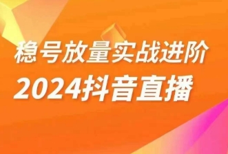 稳号放量实战进阶—2024抖音直播，直播间精细化运营的几大步骤-千城资源网