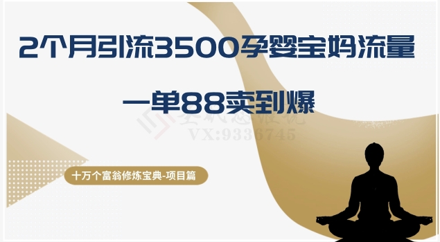 十万个富翁修炼宝典之13.2个月引流3500孕婴宝妈流量，一单88卖到爆-千城资源网