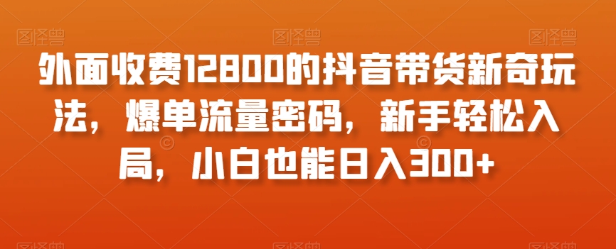 外面收费12800的抖音带货新奇玩法，爆单流量密码，新手轻松入局，小白也能日入300+【揭秘】-千城资源网