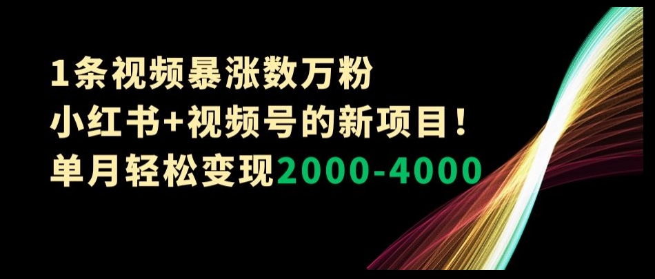1条视频暴涨数万粉–小红书+视频号的新项目！单月轻松变现2000-4000【揭秘】-千城资源网