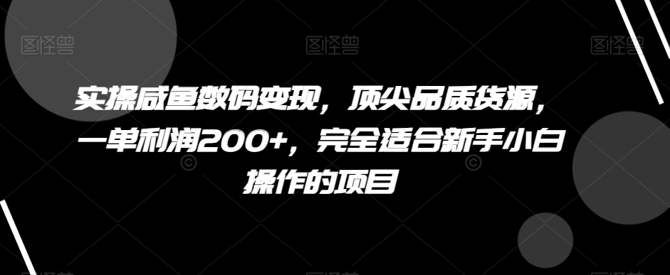 实操咸鱼数码变现，顶尖品质货源，一单利润200+，完全适合新手小白操作的项目【揭秘】-千城资源网
