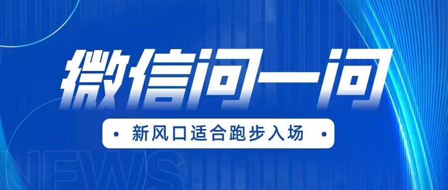 全网首发微信问一问新风口变现项目（价值1999元）-千城资源网