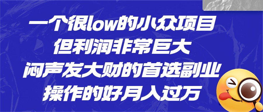 [抖音快手]一个很low的小众项目，但利润非常巨大，闷声发大财的首选副业，操作的好月入过万-千城资源网
