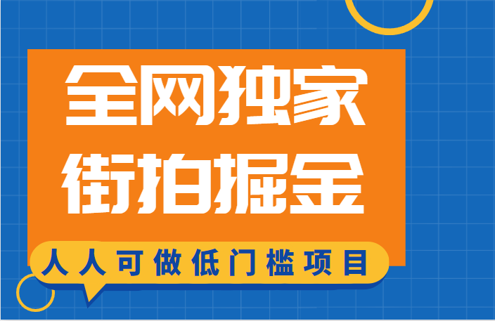 全网独家一街拍掘金，低门槛人人可做的赚钱项目-千城资源网