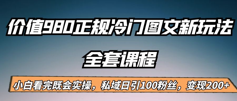 外面卖980的正规冷门图文新玩法，私域日引100粉丝，变现200+-千城资源网