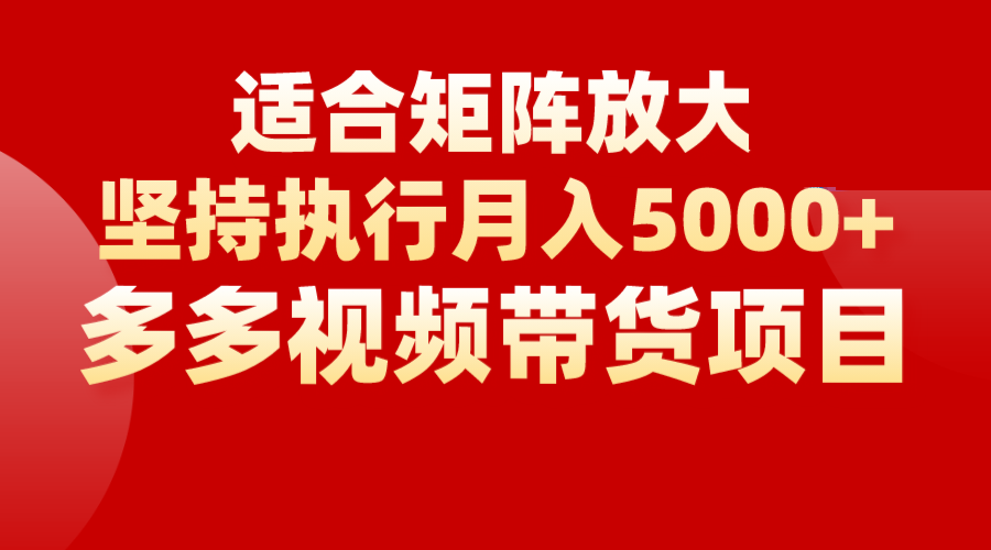 矩阵操作月入5000+，多多视频带货项目，适合新手，也适合老手放大-千城资源网