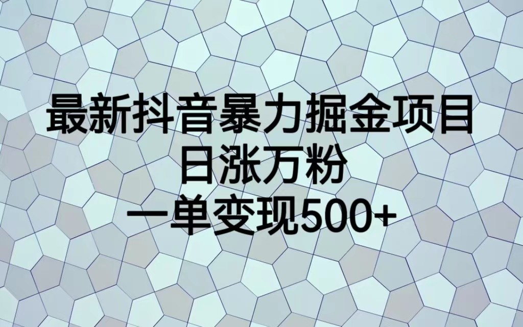 最新抖音暴力掘金项目，日涨万粉，一单变现500+-千城资源网
