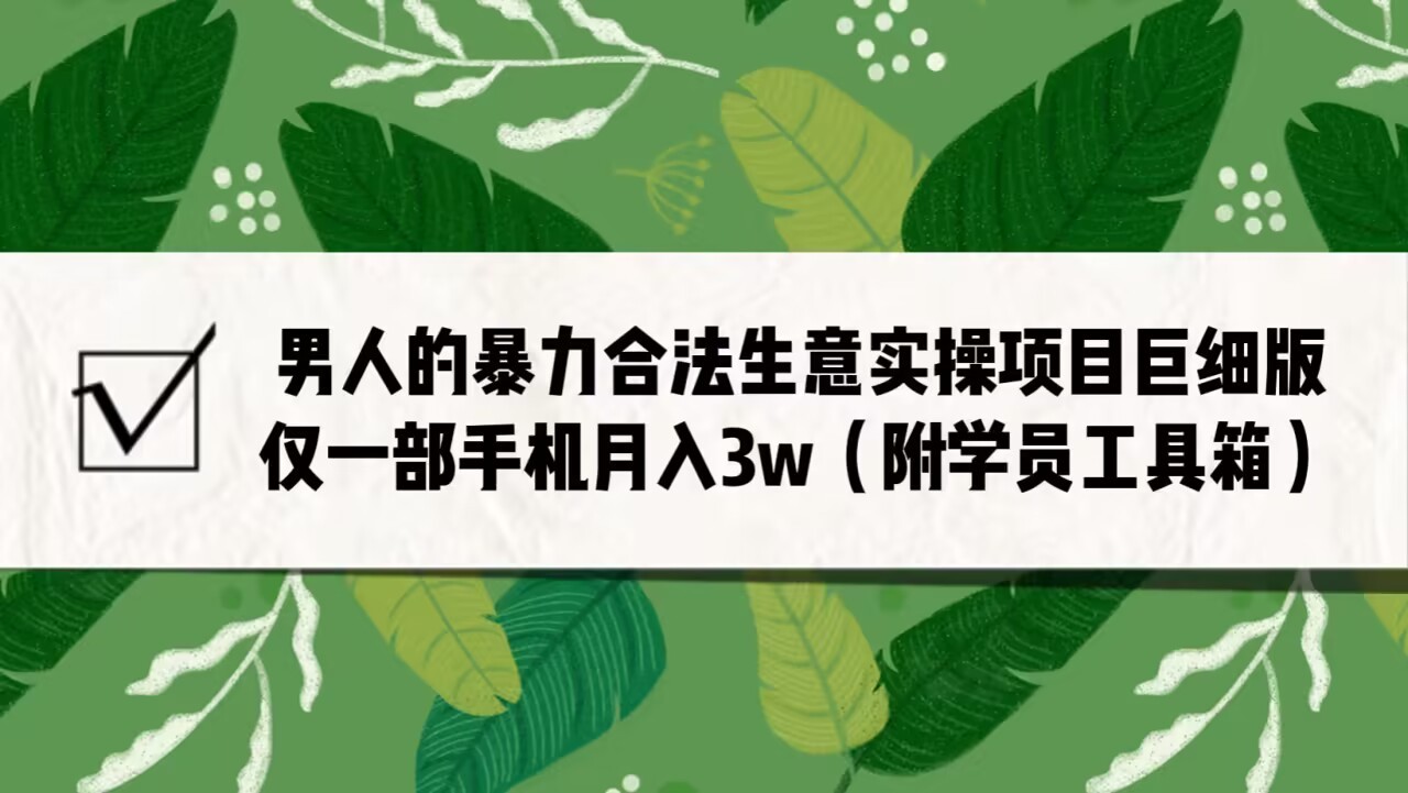 男人的暴力合法生意实操项目巨细版：仅一部手机月入3w（附赠学员工具箱）-千城资源网