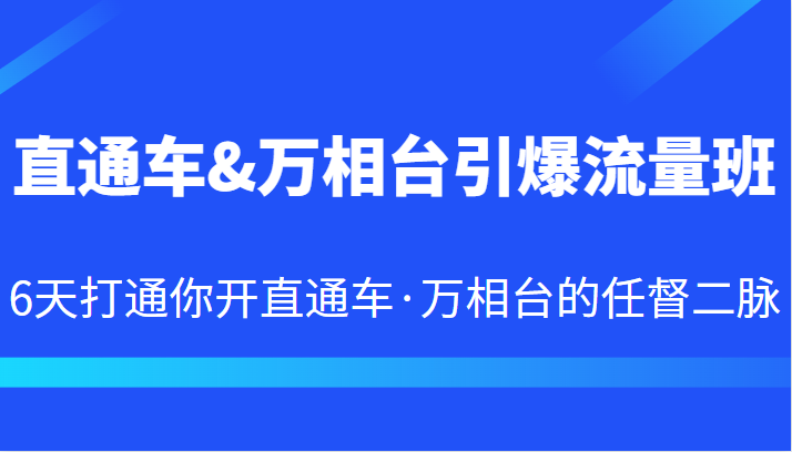 直通车&万相台引爆流量班 6天打通你开直通车·万相台的任督二脉-千城资源网