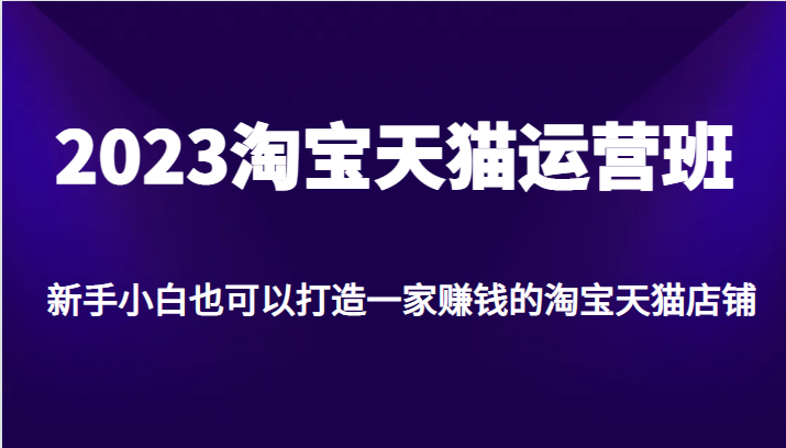 2023淘宝天猫运营班，新手小白也可以打造一家赚钱的淘宝天猫店铺-千城资源网