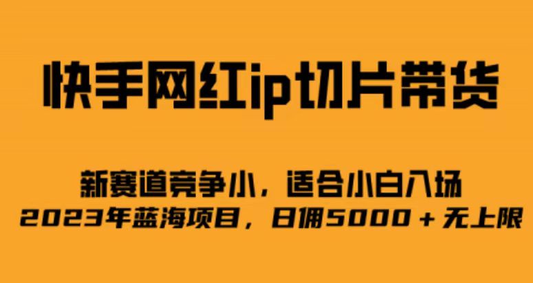 快手网红ip切片新赛道，竞争小，适合小白  2023蓝海项目-千城资源网