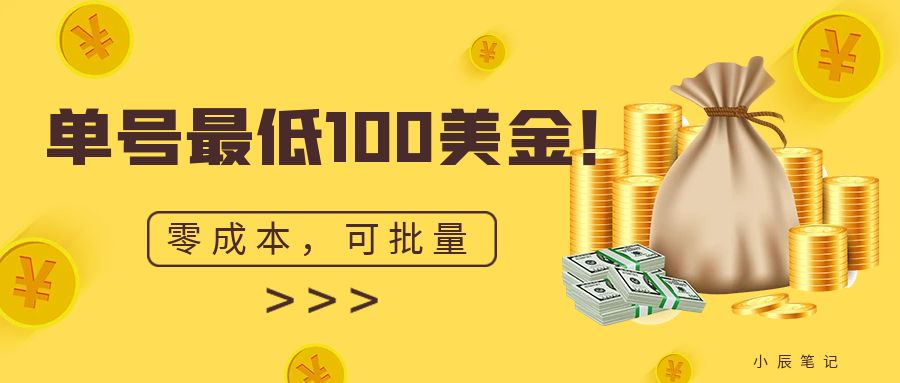 单号最低100美金，零成本，小白无脑操作。可复制，可扩大。-千城资源网