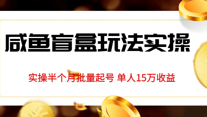 独家首发咸鱼盲盒玩法实操，半个月批量起号单人15万收益揭秘-千城资源网