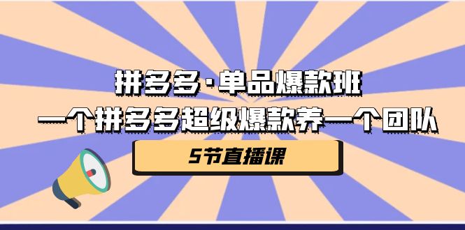 拼多多·单品爆款班，一个拼多多超级爆款养一个团队（5节直播课）-千城资源网